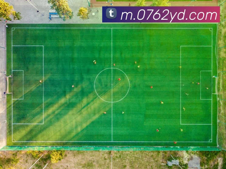 赛事专题整合
